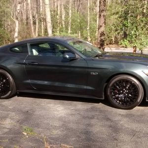 Meet your Posher, Loree